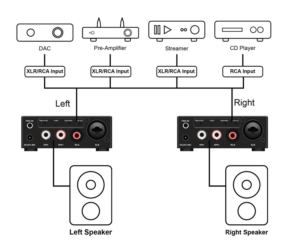 ALSOZONE GAN MONO : Entrées XLR/TRS et RCA et fonctions de contrôle