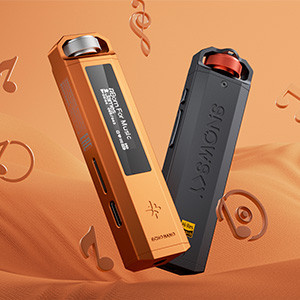 FIIO ECHO NANO: Front view