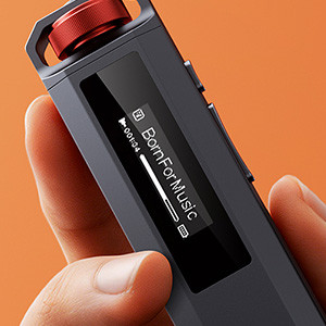 FIIO ECHO NANO: OLED screen