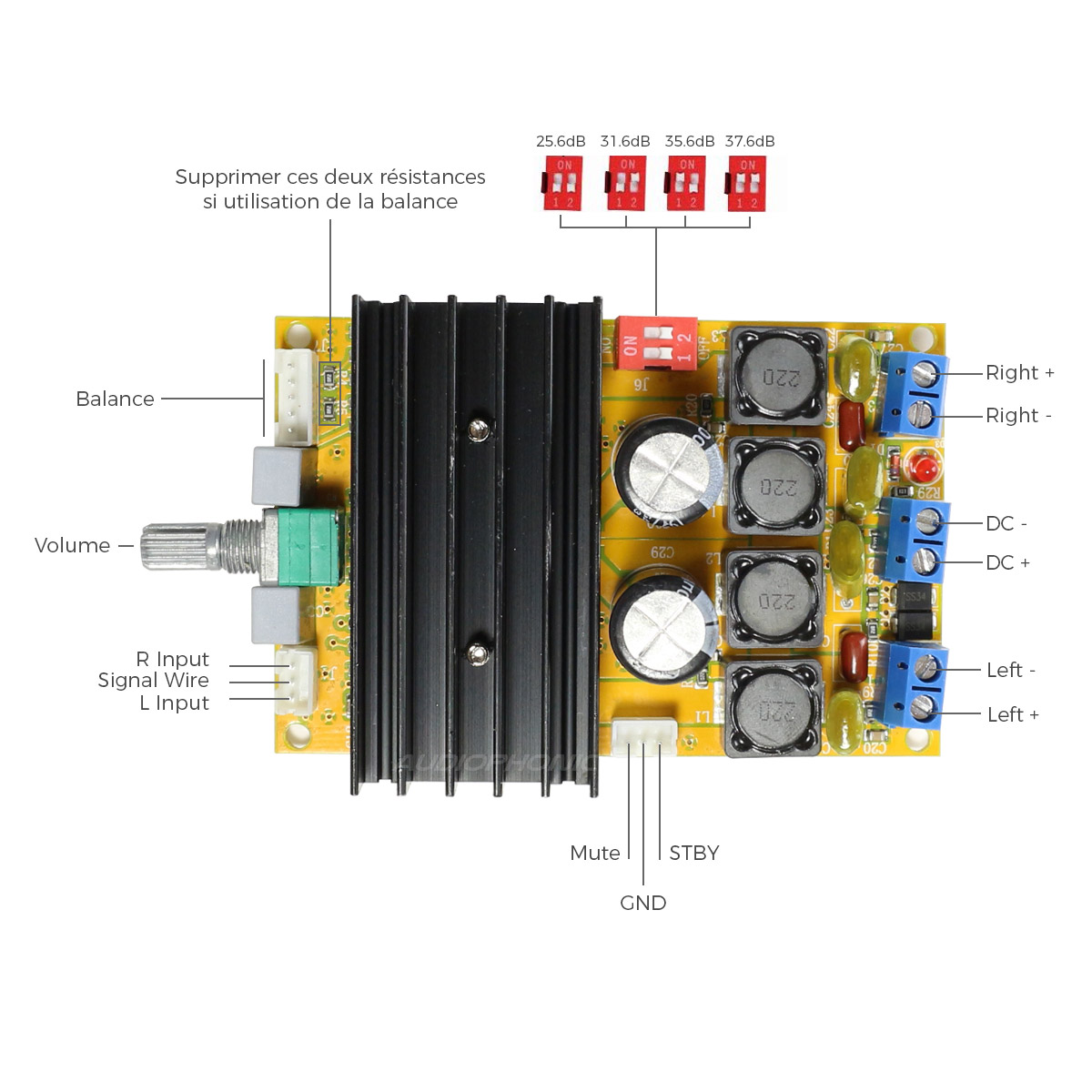 Schéma module amplificateur FX-Audio -DIY-TDA7498